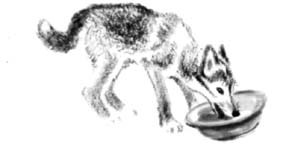 Джулькино детство - _13.jpg