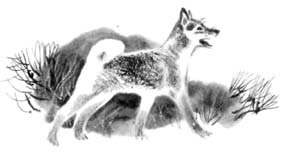 Джулькино детство - _15.jpg