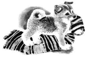 Джулькино детство - _3.jpg