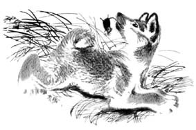 Джулькино детство - _7.jpg