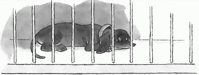 Рассказы - pic_38.png