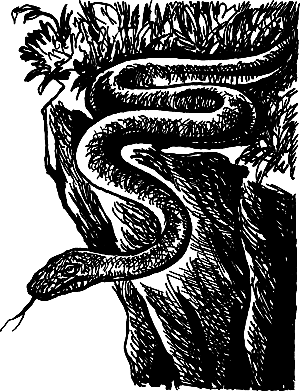 Затерянная земля (Сборник) - i_027.png