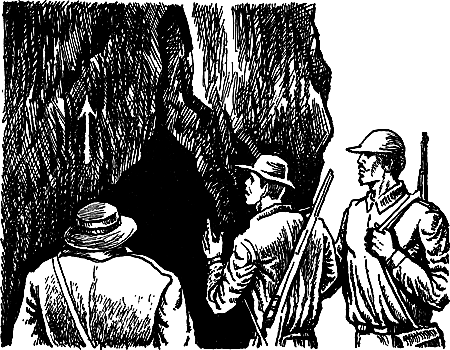 Затерянная земля (Сборник) - i_028.png