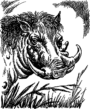 Затерянная земля (Сборник) - i_111.png