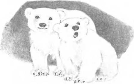 Большая Хета сердится - i_004.jpg