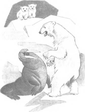 Большая Хета сердится - i_005.jpg