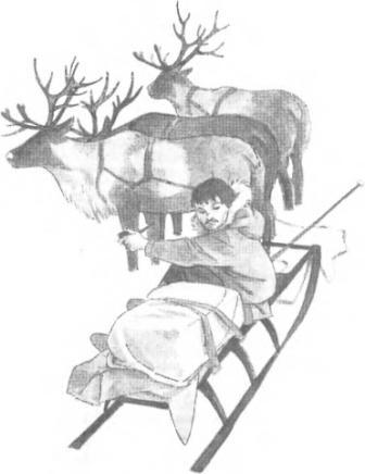 Большая Хета сердится - i_012.jpg