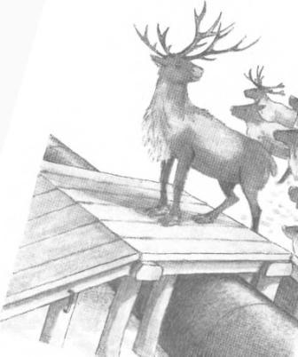 Большая Хета сердится - i_014.jpg