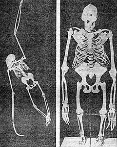 Конструкции, или почему не ломаются вещи - GORD0810.jpg