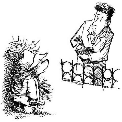 Медвежонок Паддингтон здесь и сейчас - i_032.jpg