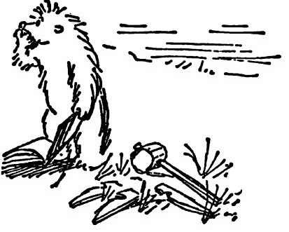 Паддингтон путешествует - i_025.jpg