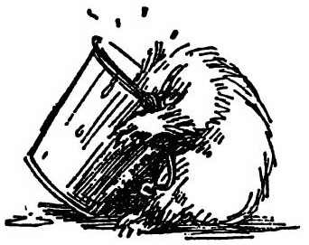 Паддингтон путешествует - i_027.jpg