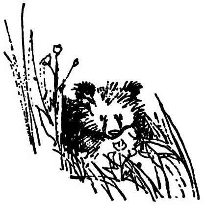 Паддингтон путешествует - i_062.jpg