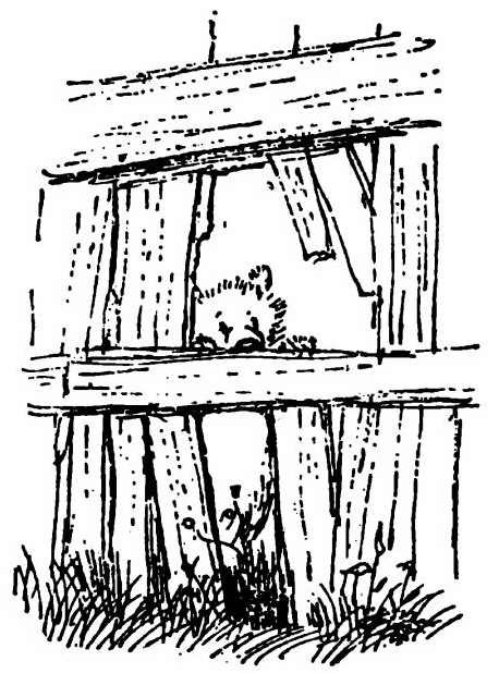 Паддингтон путешествует - i_063.jpg