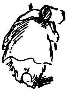 Паддингтон путешествует - i_065.jpg