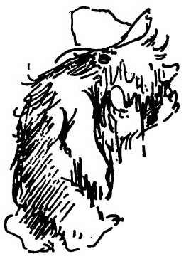 Приключения медвежонка Паддингтона - i_018.jpg