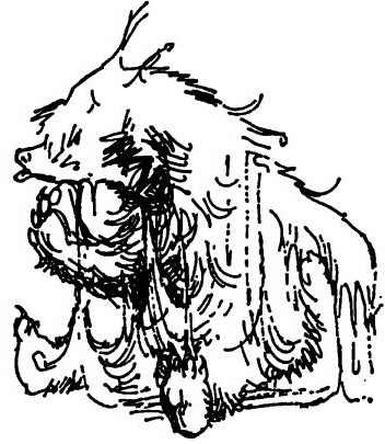 Приключения медвежонка Паддингтона - i_020.jpg