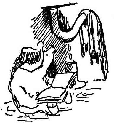 Приключения медвежонка Паддингтона - i_026.jpg