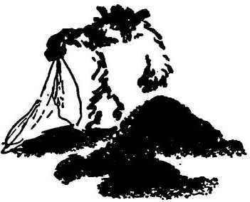 Приключения медвежонка Паддингтона - i_036.jpg