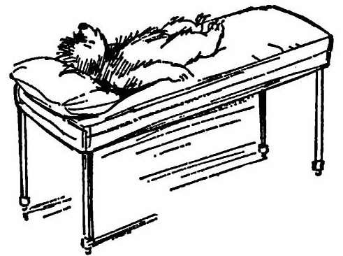 Приключения медвежонка Паддингтона - i_052.jpg