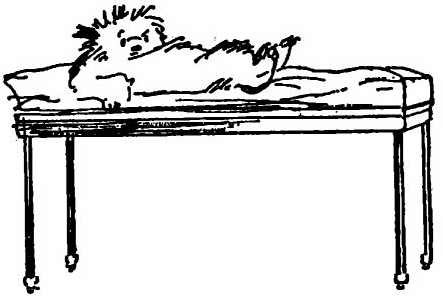 Приключения медвежонка Паддингтона - i_054.jpg