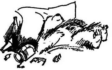 Приключения медвежонка Паддингтона - i_076.jpg