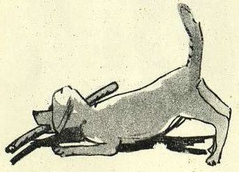 Маленькие рассказы про маленького Пита - i_006.jpg