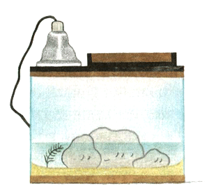 Питер Обыкновенный, или Младших братьев не выбирают - i_043.png