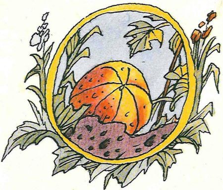 Приключения Тимы и Тёмы - i_019.jpg