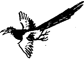 Рыцари Серебряного Щита - i_003.png