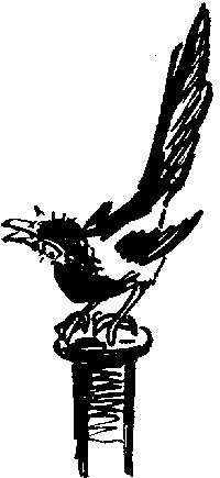 Рыцари Серебряного Щита - i_015.png