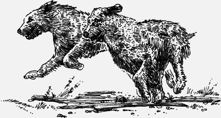 Долгая дорога домой (сборник) с илл. - img11.png