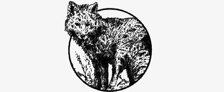 Долгая дорога домой (сборник) с илл. - img12.png