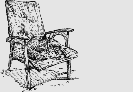 Долгая дорога домой (сборник) с илл. - img15.png