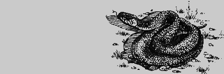 Долгая дорога домой (сборник) с илл. - img19.png