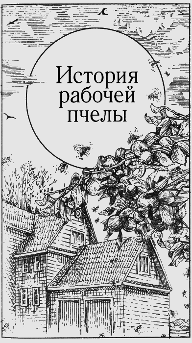 Долгая дорога домой (сборник) с илл. - img21.png