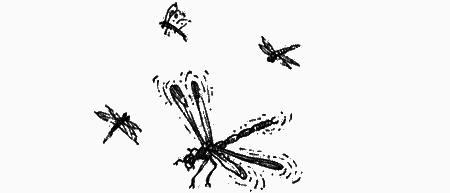 Долгая дорога домой (сборник) с илл. - img22.png