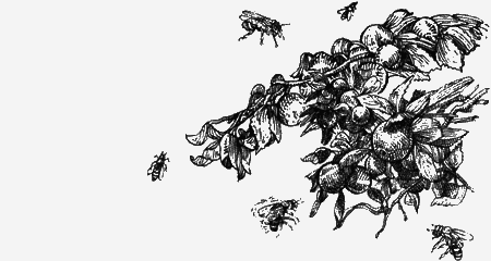 Долгая дорога домой (сборник) с илл. - img24.png