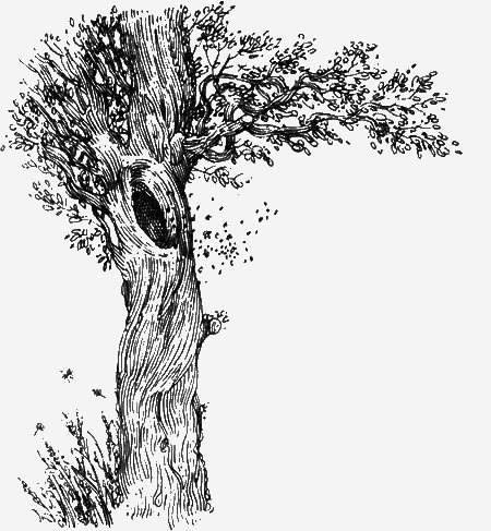 Долгая дорога домой (сборник) с илл. - img27.png