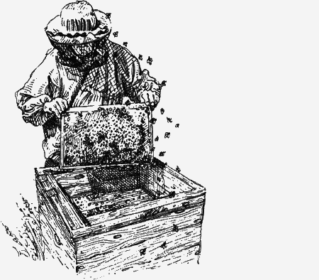 Долгая дорога домой (сборник) с илл. - img28.png