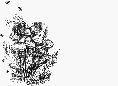 Долгая дорога домой (сборник) с илл. - img29.png