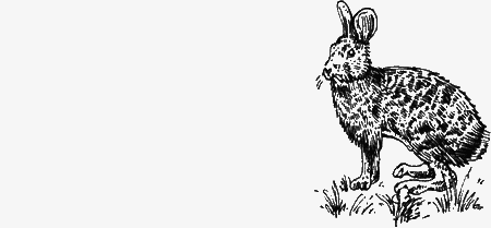 Долгая дорога домой (сборник) с илл. - img34.png