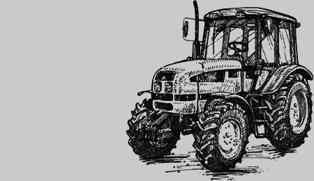 Долгая дорога домой (сборник) с илл. - img41.png