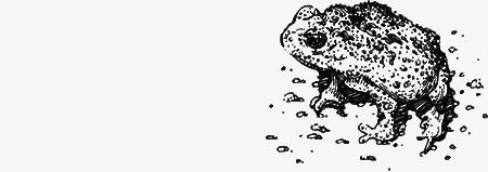 Долгая дорога домой (сборник) с илл. - img47.png