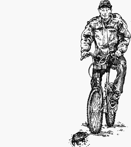 Долгая дорога домой (сборник) с илл. - img48.png