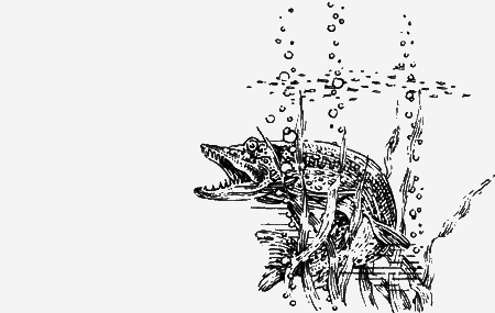 Долгая дорога домой (сборник) с илл. - img50.png