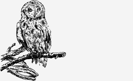 Долгая дорога домой (сборник) с илл. - img51.png