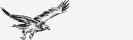 Долгая дорога домой (сборник) с илл. - img52.png