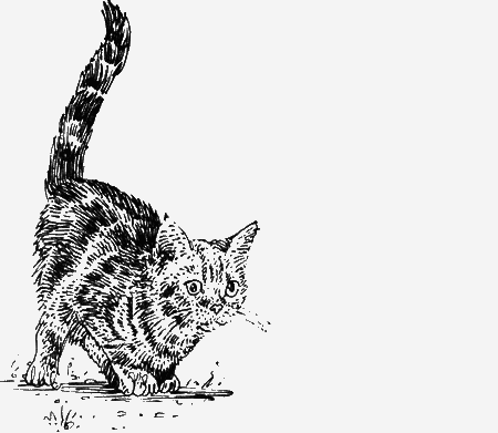 Долгая дорога домой (сборник) с илл. - img54.png