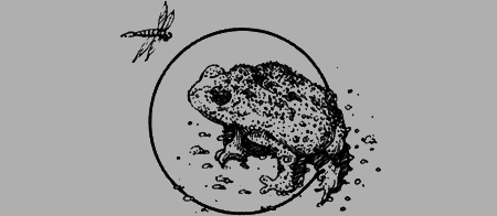 Долгая дорога домой (сборник) с илл. - img56.png